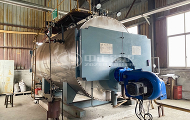 瑞昕金属6吨环保型WNS系列三回程燃气蒸汽锅炉项目
