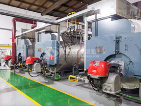 吉林德大6吨WNS系列二回程燃气蒸汽锅炉项目