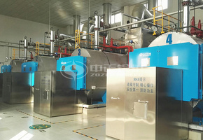 7MW WNS系列燃气热水锅炉项目（中国石化北京设计院）