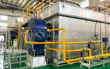 35吨SZS冷凝式燃气蒸汽锅炉项目（飞鹤乳业）