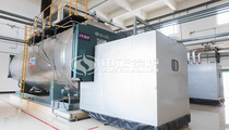 国药集团10吨WNS系列燃气锅炉项目
