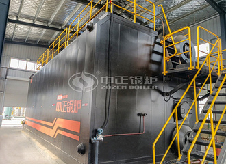 五河春30吨SZS混燃沼气和自然气蒸汽锅炉项目