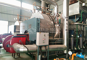 贵港瑞康饲料6吨WNS系列三回程燃气蒸汽锅炉项目