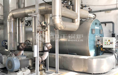 卓宝科技300万大卡YQW系列燃气卧式导热油锅炉项目