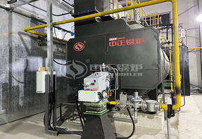 昊源生物6吨WNS系列二回程燃气蒸汽锅炉项目
