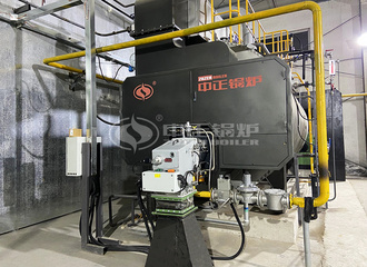 昊源生物6吨WNS系列二回程燃气蒸汽锅炉项目