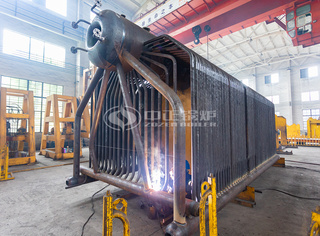 永乐高匠心打造企业专用生物质锅炉