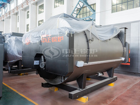 4吨燃气蒸汽锅炉WNS系列南峰食品项目