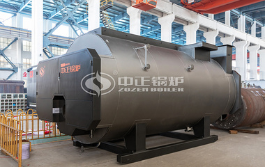 现代牧业WNS系列4吨沼气蒸汽锅炉项目（察北牧场）