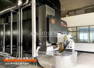 10蒸吨燃气蒸汽火管锅炉食物行业项目（统一企业）