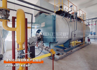 集中供暖10吨燃气蒸汽锅炉项目（清水河县）