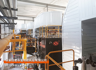 君乐宝10吨和20吨燃气蒸汽锅炉煤改气项目