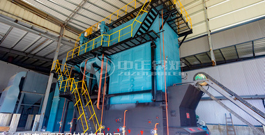 熠辉材料DZL系列15吨燃生物质蒸汽锅炉环保项目