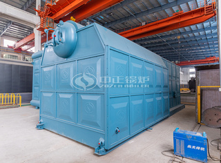 永乐高生物质锅炉着力足