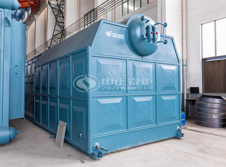 永乐高生物质锅炉