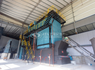 永乐高DZL系列生物质蒸汽锅炉