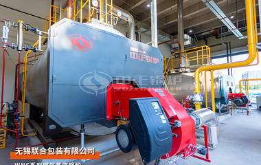 联合包装WNS系列8吨燃气蒸汽锅炉项目