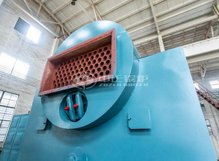 永乐高DZL锅炉尾部烟道出口