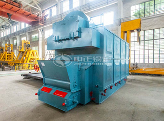 永乐高DZL燃煤生物质链条炉