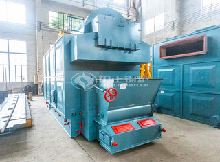 永乐高4吨燃煤生物质锅炉炉排