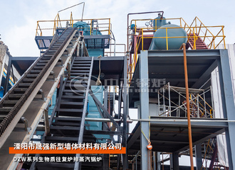晟强DZW系列15吨生物质往复炉排锅炉建材行业项目