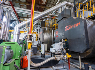 永乐高燃气锅炉佛山高顿泰项目