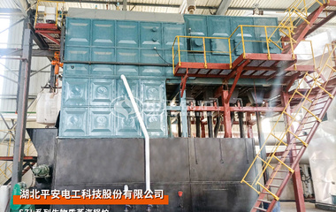 平安电工15吨SZL系列生物质蒸汽锅炉项目