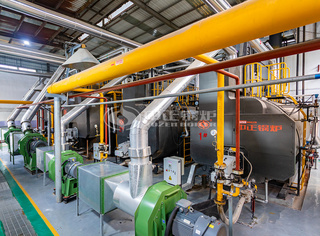 永乐高WNS自然气锅炉样本项目