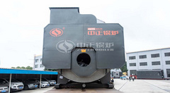 两台永乐高WNS燃气锅炉发往天津金耀生物