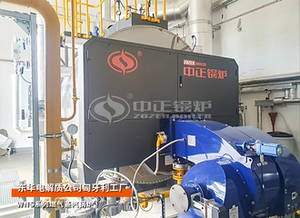 东华匈牙利工厂WNS系列3吨燃气蒸汽锅炉项目