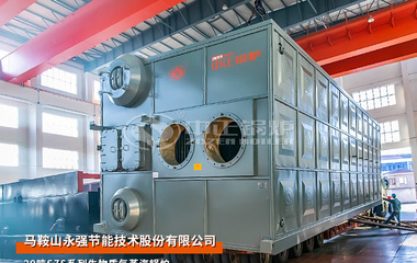 永强节能20吨SZS系列生物质气蒸汽锅炉项目