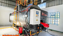 非洲博茨瓦纳WNS系列3吨燃油蒸汽锅炉香精厂项目
