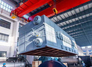 接待垂询永乐高生物质气双燃烧器蒸汽锅炉