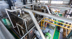 三水高顿泰项目永乐高WNS系列燃气蒸汽锅炉