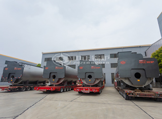 20吨WNS系列燃气锅炉的出厂前严酷检测和测试确保了其稳固的性能和可靠性。