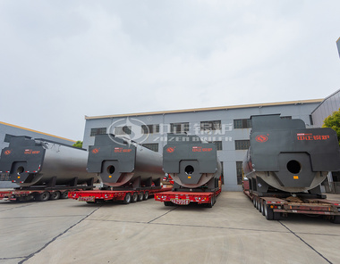 20吨WNS系列燃气锅炉的出厂前严格检测和测试确保了其稳定的性能和可靠性。