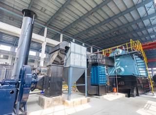 永乐高锅炉的10吨燃煤锅炉适用于多种行业