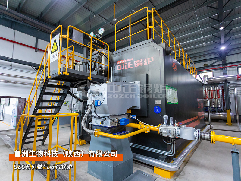 鲁洲生物15吨SZS系列燃气过热蒸汽锅炉食物加工项目