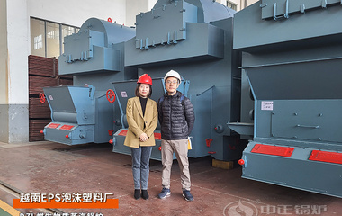 越南Tan Phong泡沫塑料厂DZL系列4吨生物质蒸汽锅炉项目