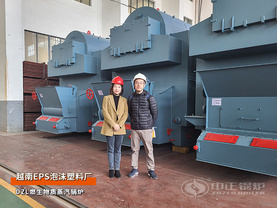越南Tan Phong泡沫塑料厂DZL系列4吨生物质蒸汽锅炉项目