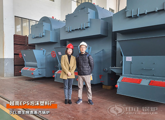 越南Tan Phong泡沫塑料厂DZL系列4吨生物质蒸汽锅炉项目