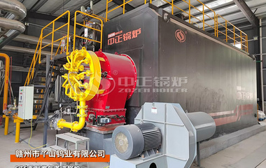 丫山钨业20吨SZS系列燃气蒸汽锅炉碳酸锂生产项目