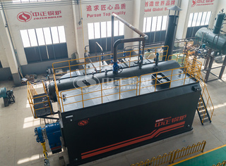 SZS系列锅炉具有较长的使用寿命和较低的维护本钱