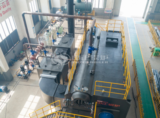 SZS系列锅炉顺应差别种类的燃料