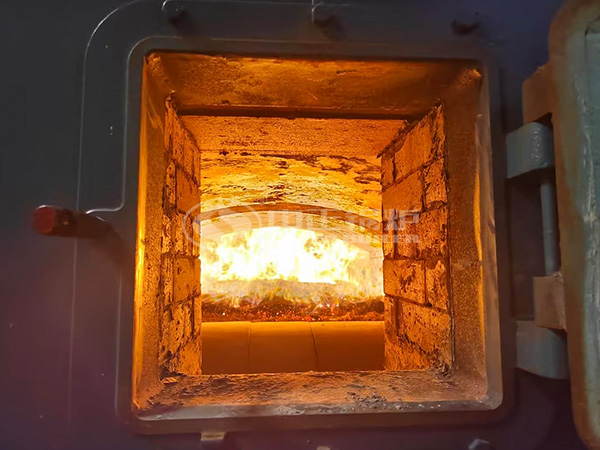 中正DZL系列燃生物质蒸汽锅炉燃烧充分