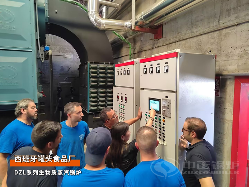 ZOZEN boiler