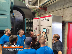 西班牙DZL系列4吨小鳞片炉排生物质蒸汽锅炉项目