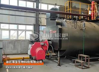 湖北海宜NWNS系列6吨燃气蒸汽锅炉项目