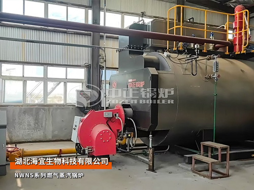 湖北海宜NWNS系列6吨燃气蒸汽锅炉项目