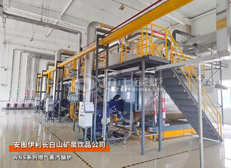 安图伊利WNS系列6吨和4吨燃气蒸汽锅炉矿泉饮品项目